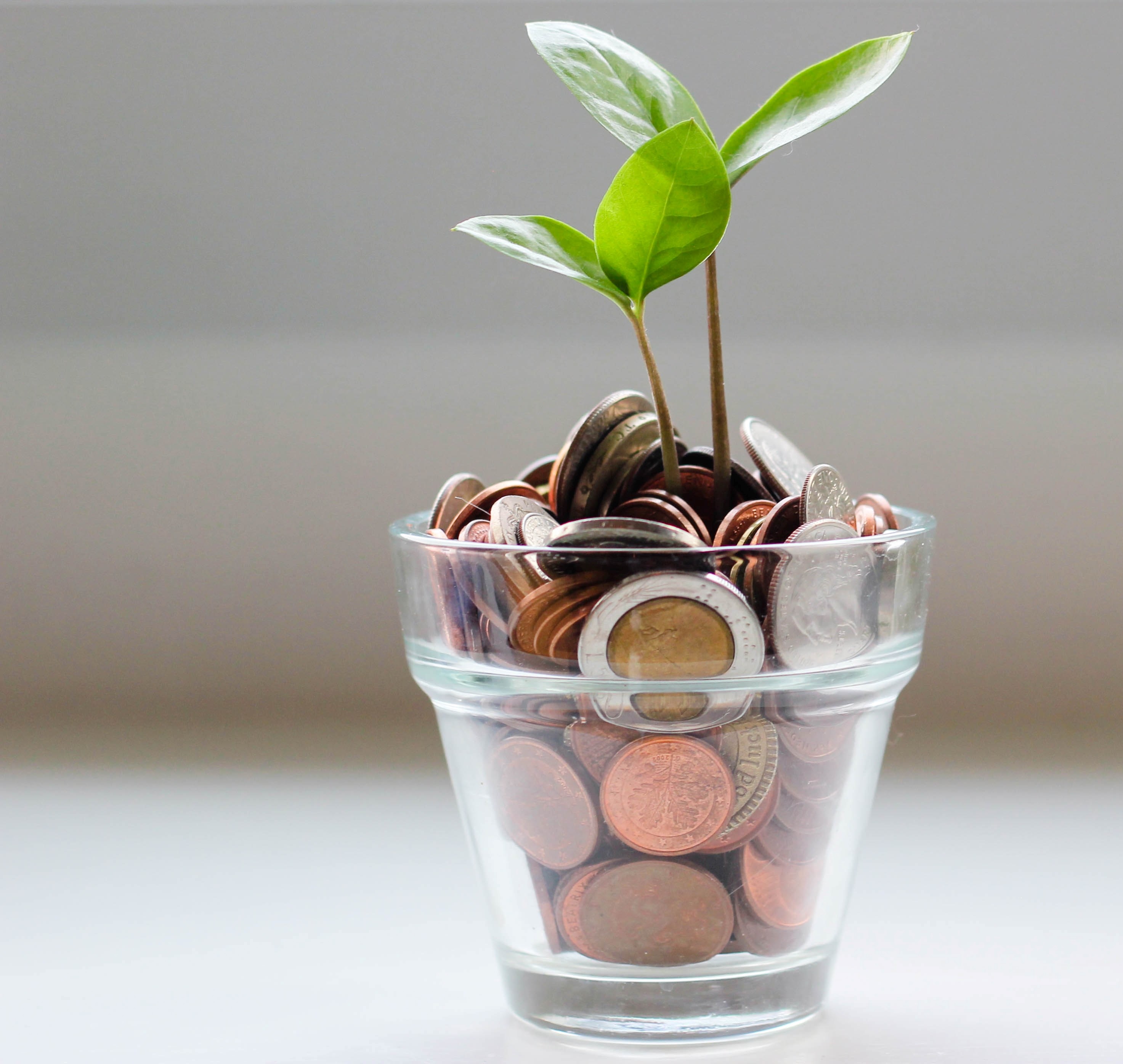 cash flower pot